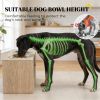 Elevated dog bowl with storage cabinet, oak